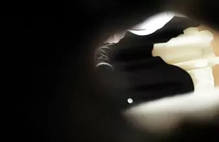 ¡Pigtales! ¡Porque la náusea es mejor con el manillar! anime porno español latino
