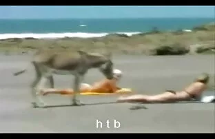Bbw pareja xxx videos audio latino en cam