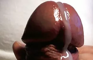 Mujeres gorditas que porno online latino se lo llevan por el culo
