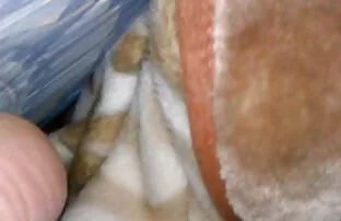 Italiano porno hentai en español latino MILF consolador Sexo